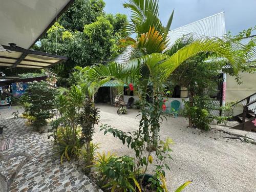 Pension Mitiana in Maupiti Island