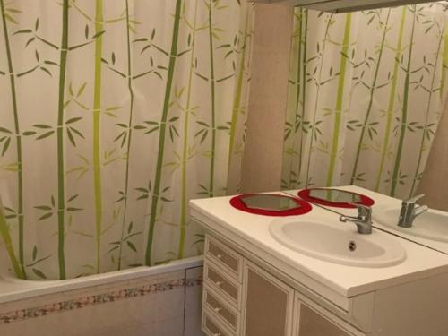 Appartement charmant au centre-ville de Biscarrosse - FR-1-877-14 - image 2