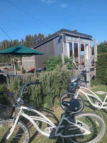 FreeFall Hut in Haumoana