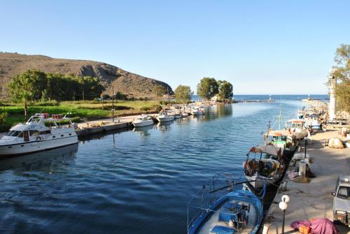 Surrounding environment, River Side in Krionerida
