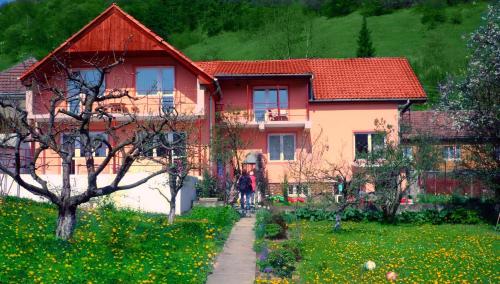 Pensiunea Sighisoara - main image