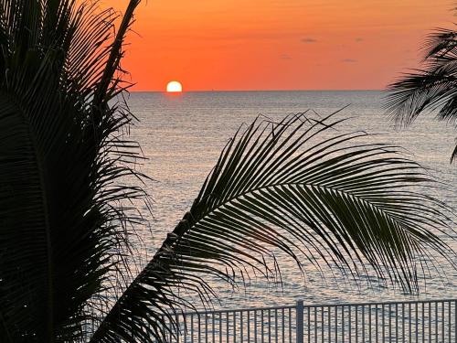 Bimini Paradise Found in Alice Town