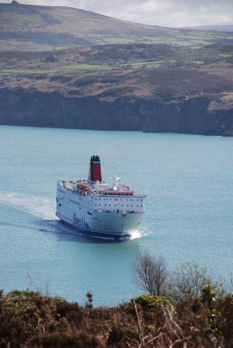 The Ferryboat - image 2