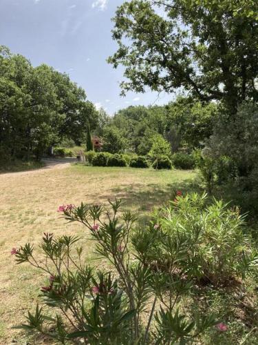 Vautrain in Artignosc-sur-Verdon