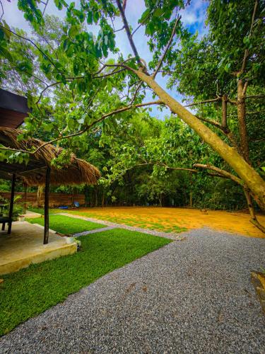 ทัศนียภาพภายนอกโรงแรม, Ivory Safari House in อุดาวาลาเว