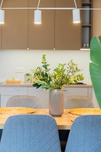 Iekārtas, Klimatyzowane Apartamenty Miedź i Miód (Klimatyzowane Apartamenty Miedz i Miod) in Czerna