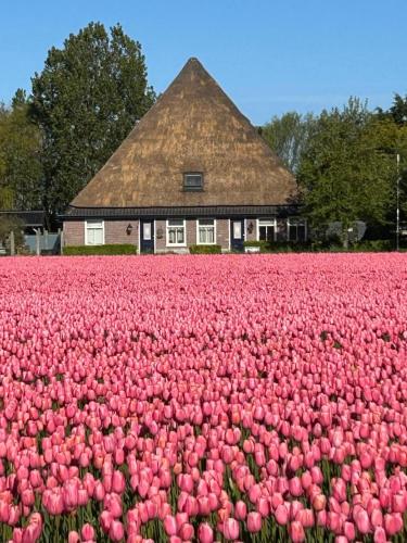 B&B Idylle aan Zee incl 2 Wellnessstudios – khách sạn tại Schagerbrug