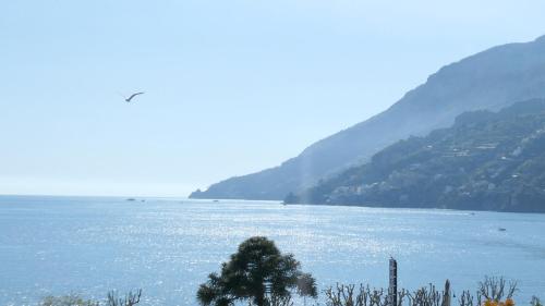 Étterem, Hotel Miramare in Maiori