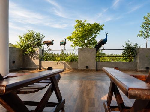 Sunrise Eco Resort – khách sạn tại Bắc Kotawila