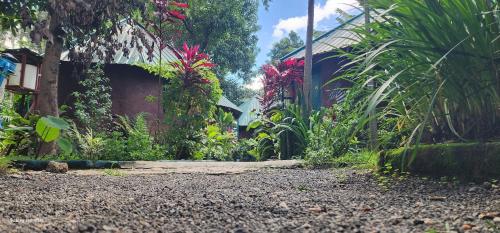 Exterior view of Kizumba House