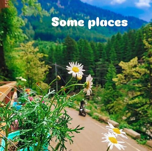 Celestia Riverside Retreat - Manali