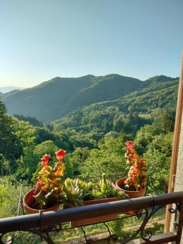 Tuscany Retreat in Borgo A Mozzano