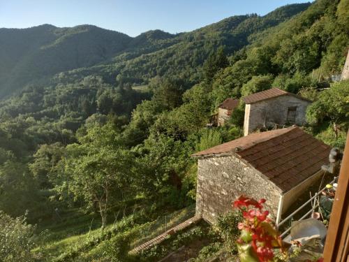 Tuscany Retreat in Borgo A Mozzano