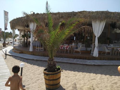 ผับ/เลาจน์, Oasis Resort&Spa Lozenets An 3 fl in โลเซเนท์