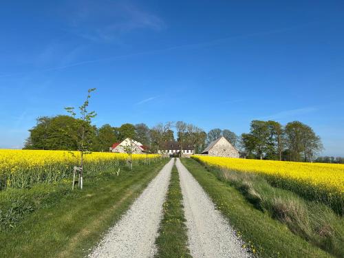 Roslovs gard B&B - Gullarp