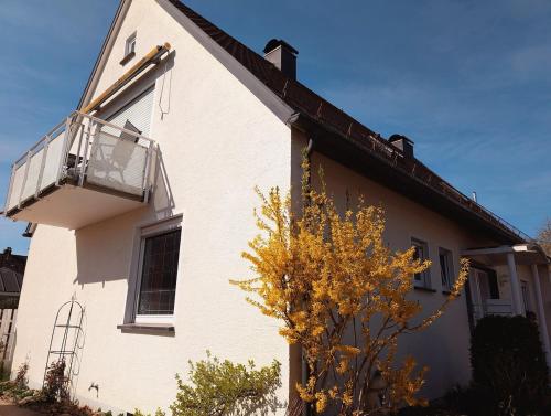 Haus Frieling in Langenargen