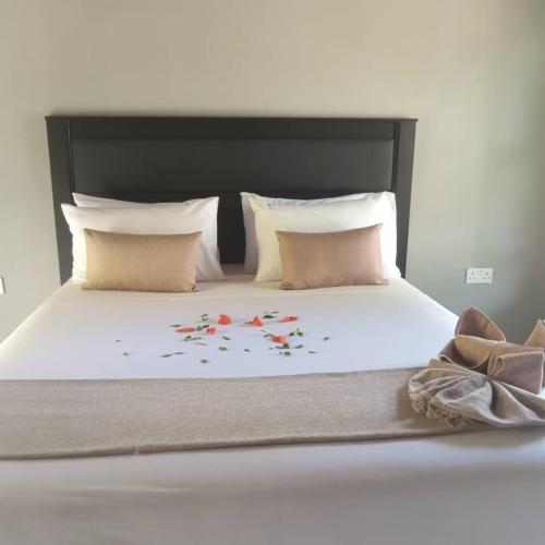 Secluded B&B in Maun