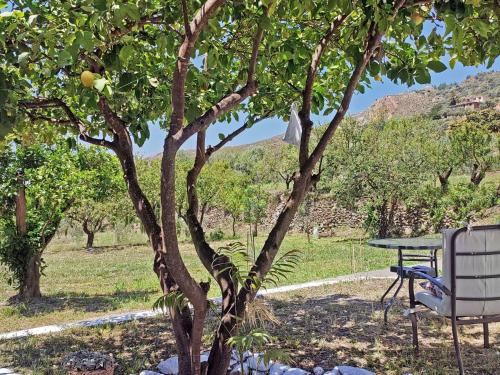 Erkély/terasz, Holiday Home Gemütliches Haus mit Schwimmbad in La Alpujarra by Interhome (Holiday Home Gemutliches Haus mit Schwimmbad in La Alpujarra by Interhome) in Carataunas