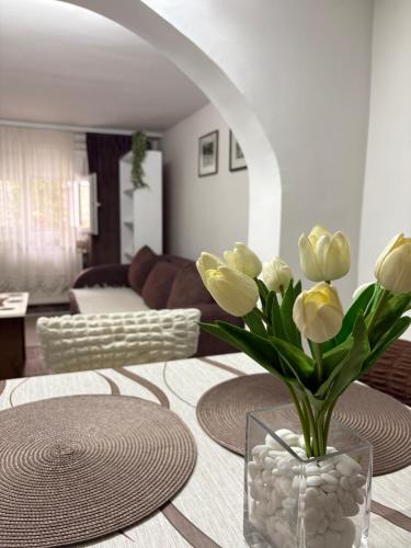 Apartment Gray, Pirot