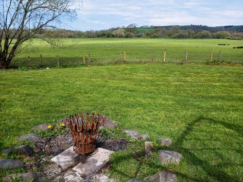 Viesnīcas āriene, Rosie - Uk49025 in Llanwenog