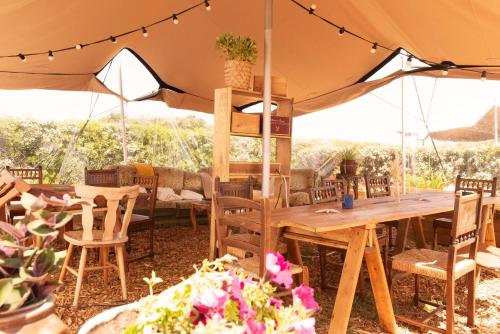 Aparra Surfcamp Auberge Capbreton in كابريتون