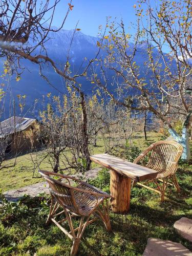 Offbeat Homestay - The Mountain House Manali in Bashisht
