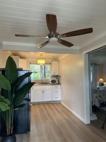 Starfish Remodeled Studio in Ocean View (HI)