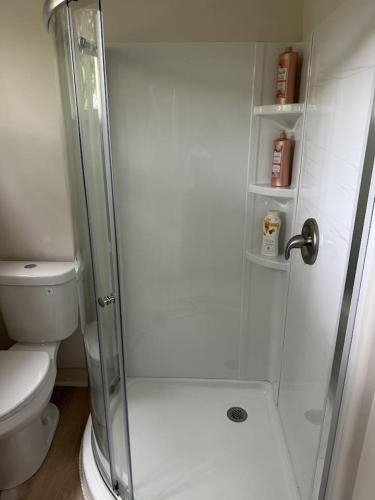 Starfish Remodeled Studio in Ocean View (HI)
