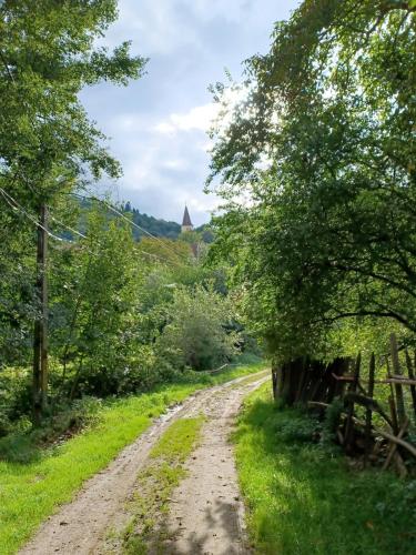 Fântânele Vacation Home, Charming Rustic Home (Fantanele Vacation Home, Charming Rustic Home) in Fântânele (Sibiu)
