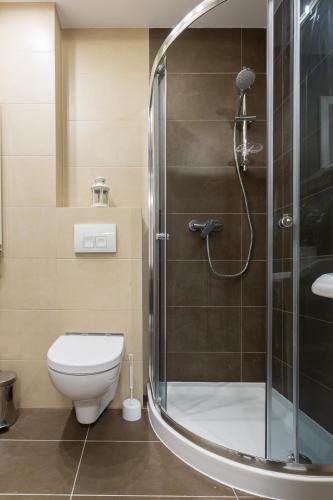 Semi-Basement Apartment room in Bystra Woda Studio Zakopane