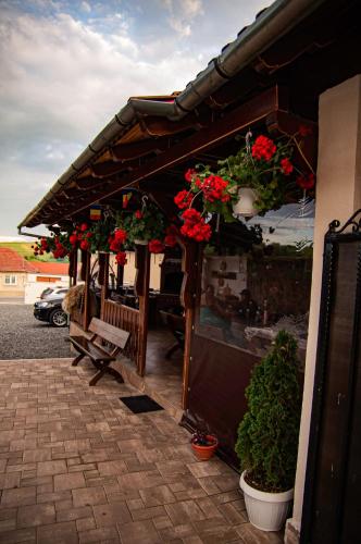 Dārzs, Casa Iancu Jina in Jina