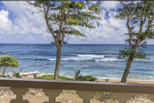 Islander on the Beach 354 - image 8