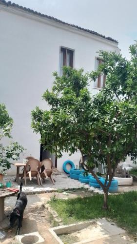 Otantic Greek House in Burhaniye in برهانية