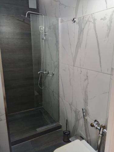 Studio apartment refurbished like new Pasteur 73 - image 3