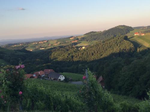 Hotel am Marktplatz - Landgasthof Wratschko - Gamlitz