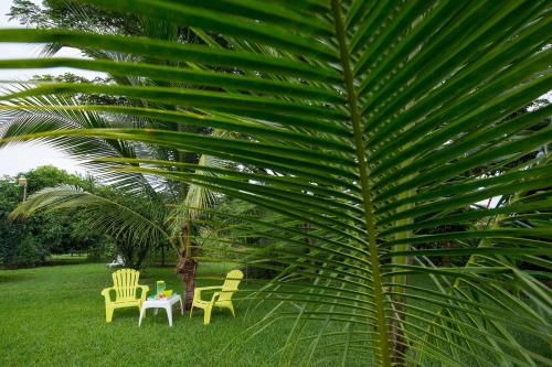 Garden, Playa Potrero Apartments in Potrero