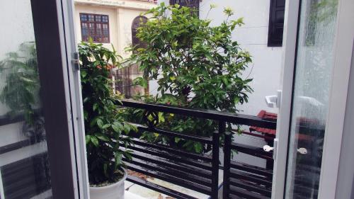 Ngoc Sinh Homestay