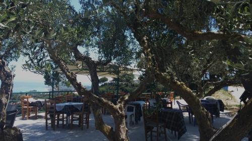 餐廳, 貝爾維德扎金索斯公寓 (Belvedere Zakynthos Studios) in 瓦斯利克斯