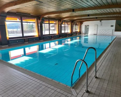 Renovated, swimming pool, sauna, forest, children room, free parking in Schonach, Deutschland
