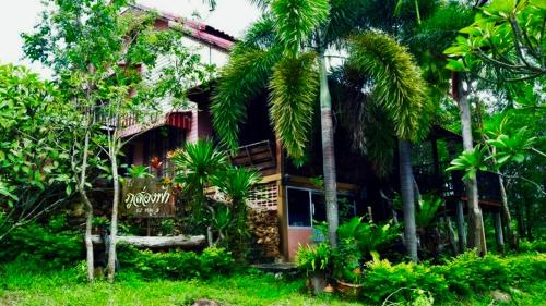 Surrounding environment, Blue Sky Hill Homestay Chaiyaphum in Kaeng Khro