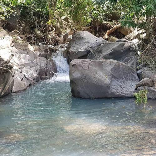 Vườn, Rêve Et Alizé (Reve Et Alize) in Bouillante