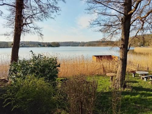 Ferienhaus Ernst Seezugang direkt am Haussee Urlaub Ferienwohnung 17258 Feldberger Seenlandschaft, O in Feldberger Seenlandschaft