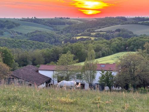 La-Vialette Chambres d Hotes - Rayssac