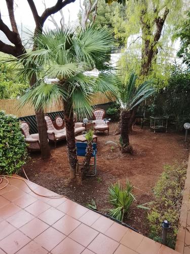 garden beach Sam - image 5