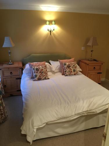 The Goose And Cuckoo, Llandovery, South Wales