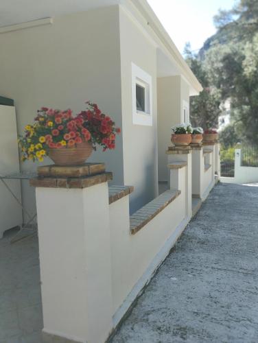 Manganas Studios, Paleokastritsa (fotografie 9)