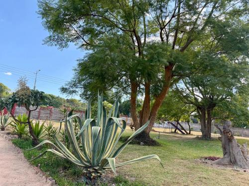 Surrounding environment, Room 5 mins from RG Mugabe Airport in Harare