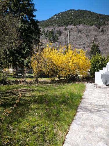 Maison idéalement située gîte à louer Saint-Martin-Vésubie