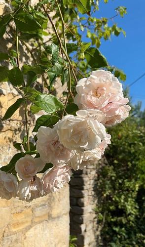 Pretty Cotswold Cottage with garden near Bibury gîte à louer Quenington
