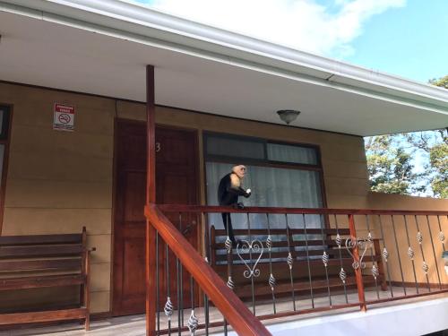 Dreams Lodge